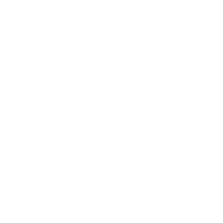 HRR_302's emblem