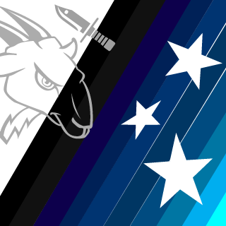48163238's emblem