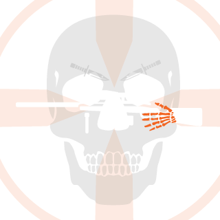 TuneBake's emblem