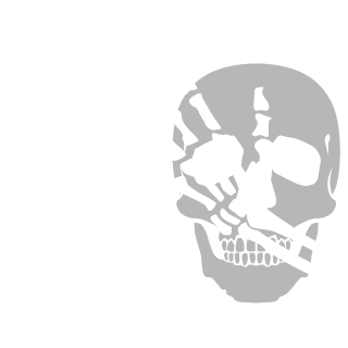 Aeternus_LIS's emblem