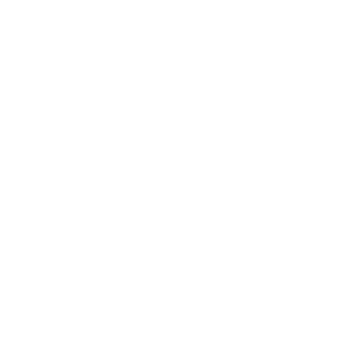 21sirants's emblem