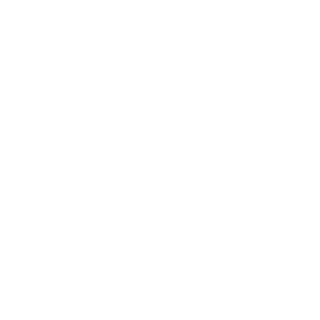 MadRusGhost29's emblem