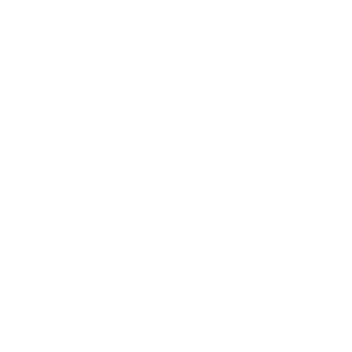 ZzAnonymousg6's emblem