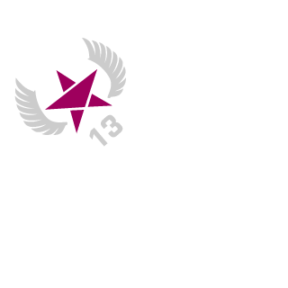 totallynotanton's emblem