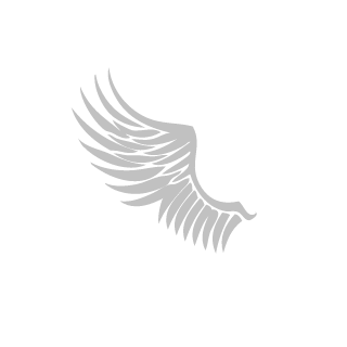 F1oX996's emblem