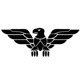 Raven0092's emblem