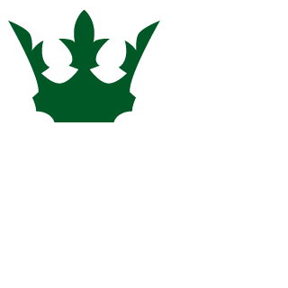 Stryk1r's emblem