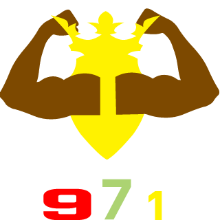 piro97onne's emblem