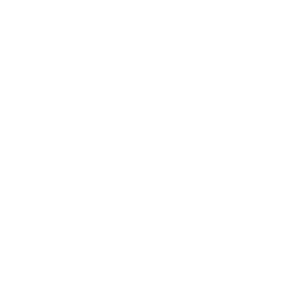35066254's emblem