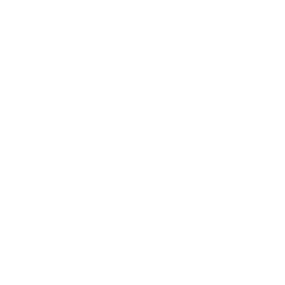 D9_Recon's emblem