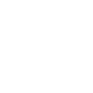 2906771950's emblem