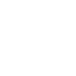 501chang's emblem
