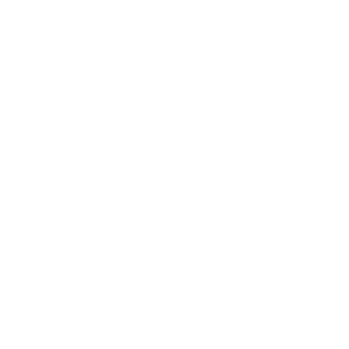 bank45's emblem