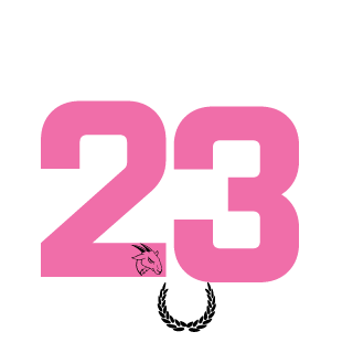 Sachiel31's emblem