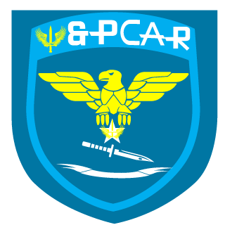 ricardotvnn's emblem