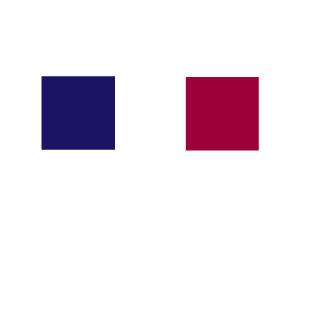 VL4DIMIRP0UTIN's emblem