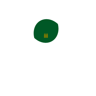 SrPolene's emblem