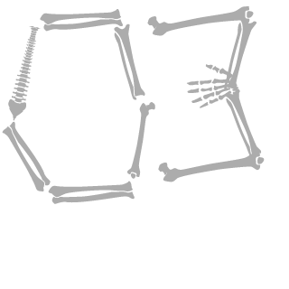 A_The_Capalot's emblem