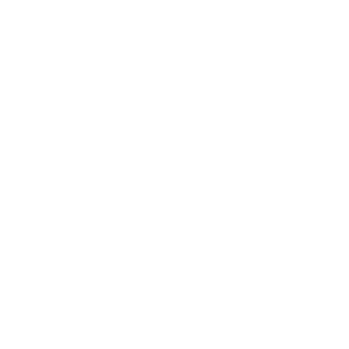TesservcT's emblem