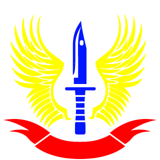 Neolink666's emblem