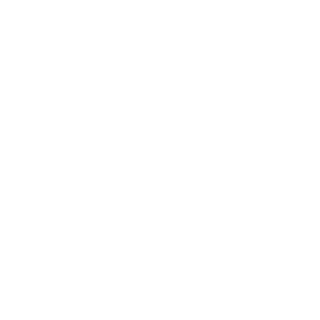 COMRADE_MAX_88's emblem