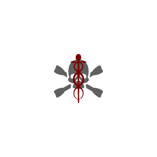 TheVirtualFloof's emblem