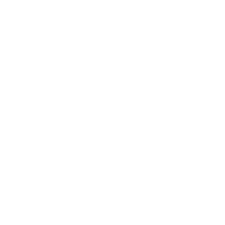The-wanted357's emblem