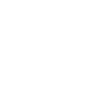Lumpylizard11's emblem