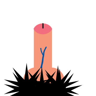 DansLeBuenoSah's emblem