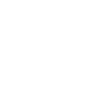f4238fe2154ee5fa's emblem