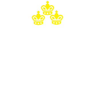 lucas9555's emblem