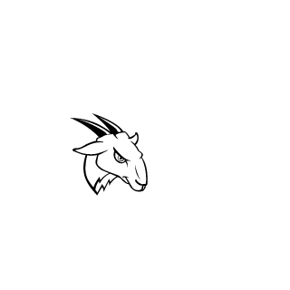 MathFalcon's emblem