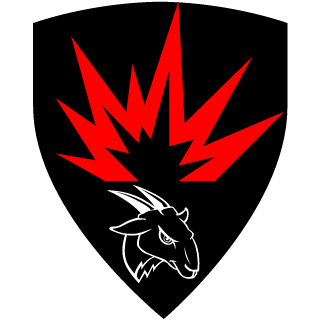 EchoReznik's emblem