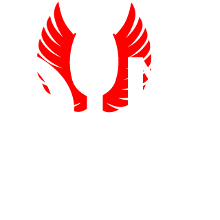 ParadoxonRaven's emblem