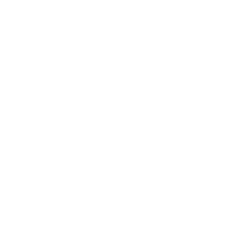 NorthWeaponn's emblem