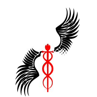 saknafain's emblem