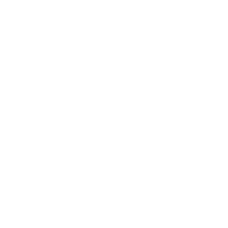 SilviusMaximus's emblem