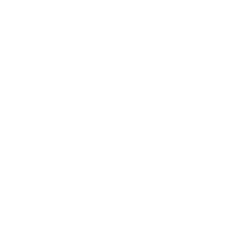 ninj4shadow's emblem