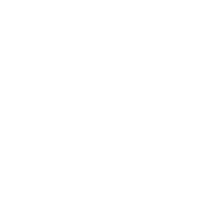 volfom's emblem