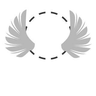 NoobOnPCin144p's emblem
