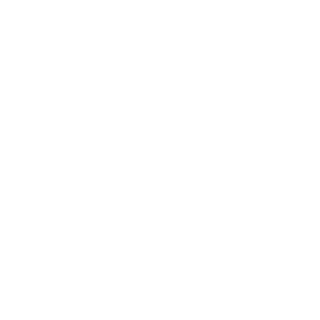 Psy_Styl3's emblem