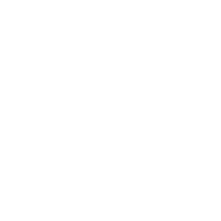 Hybr1d89's emblem