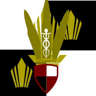 x80n3s's emblem