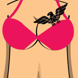 Brly4d2's emblem