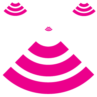 Schranzpapst's emblem