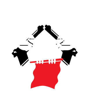 DaniloASDP's emblem
