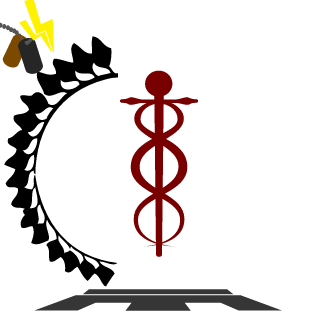 SunnyD0707's emblem