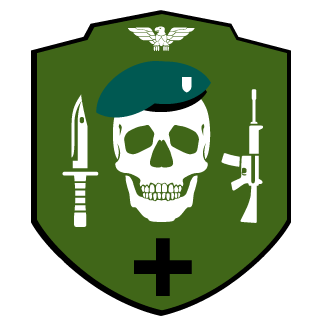 DieisonDTG's emblem
