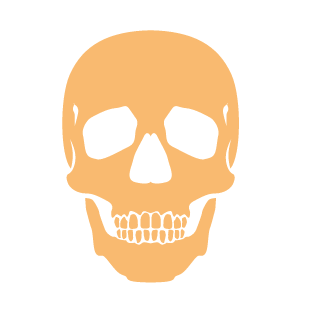 rocketmali's emblem