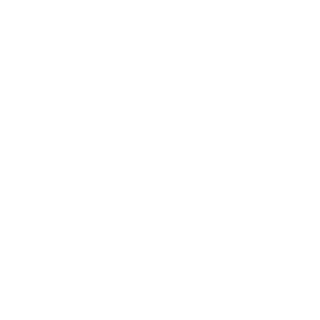 Lolzer588's emblem